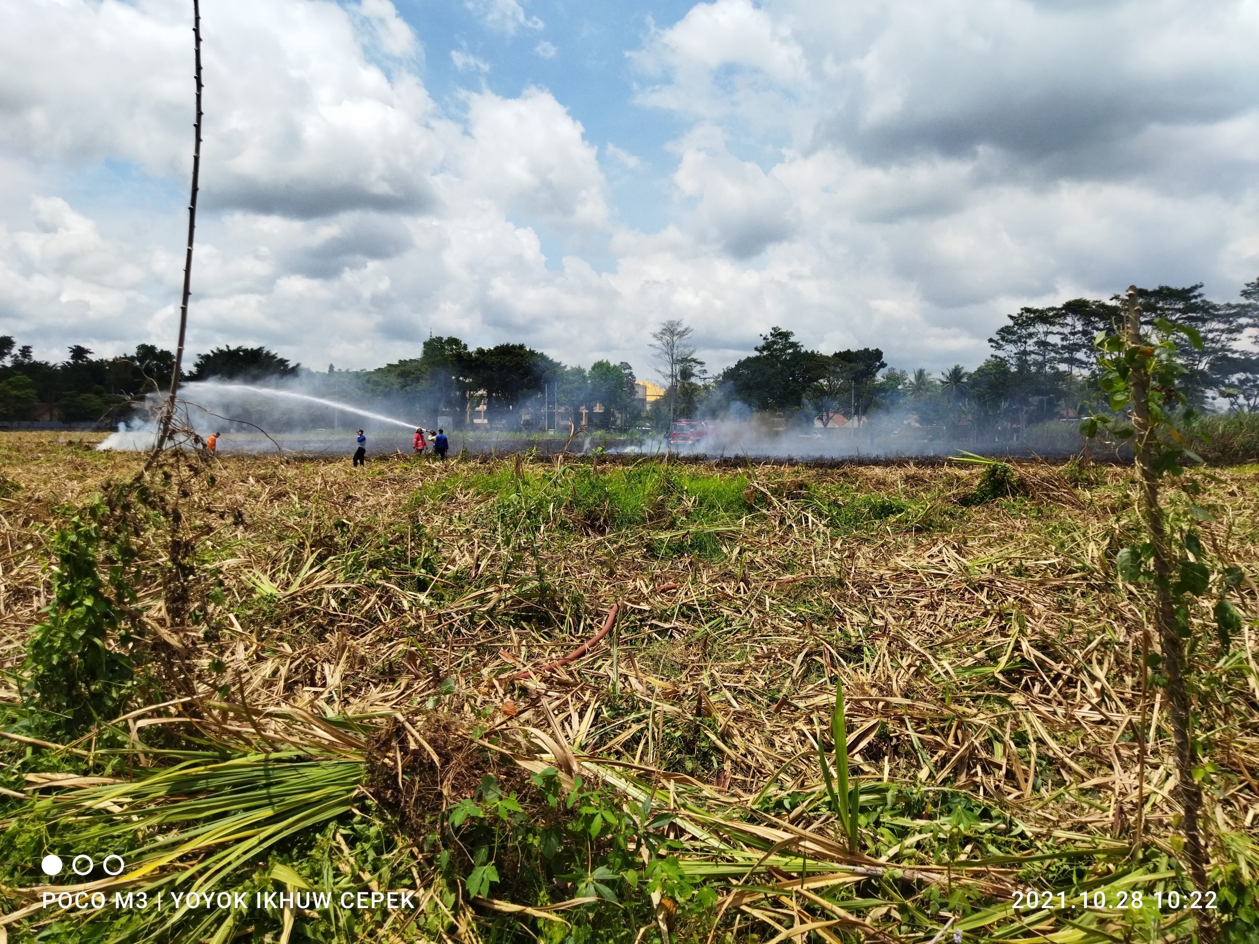 Lahan Tebu Seluas Dua Hektar Di Gondanglegi Malang Ludes Terbakar