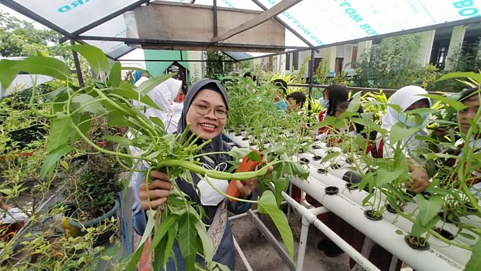 SDN Tanah Kalikedinding 1 251 Surabaya Panen Kangkung Dan Sawi