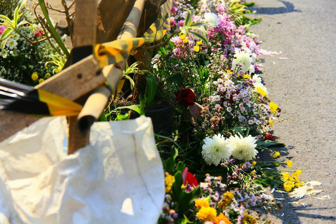jalan rusak dipasang tanaman hias