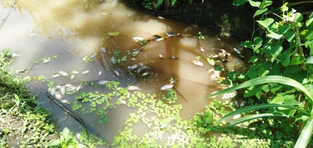 4 Tahun Petani di Ngajum Resah Karena Limbah Greenfields