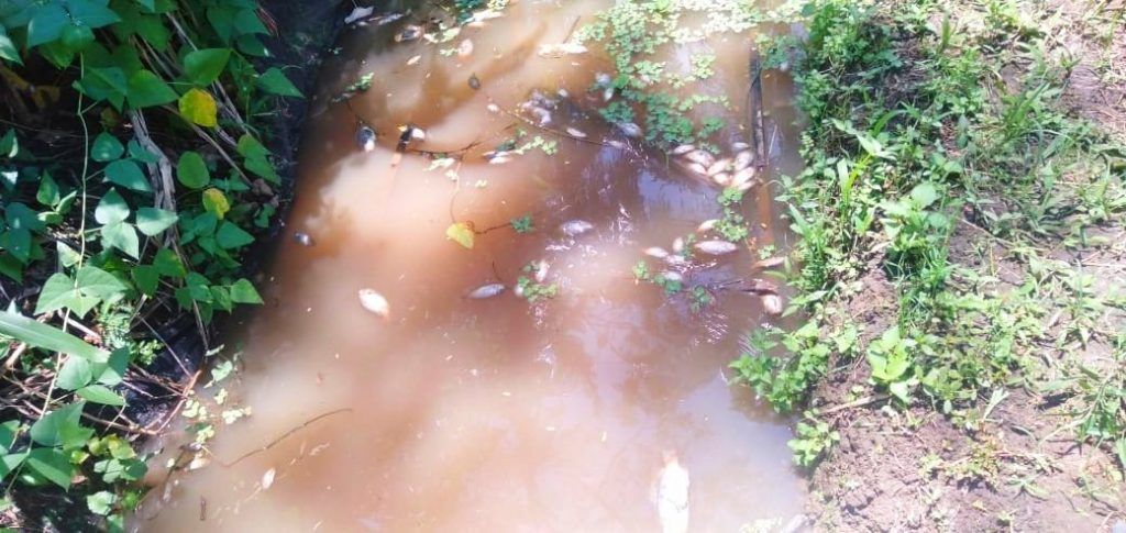 Teguran Keras Untuk PT Greenfields Indonesia Karena Limbah