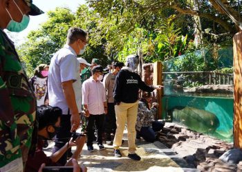 Walikota Batu, Dewanti Rumpoko meninjau sejumlah sarana edukatif di tempat wisata Kota Batu yang baru saja dibuka setelah 3 bulan ditutup karena pandemi Covid-19. (Foto: J Krisna-javasatu.com)