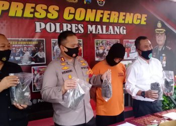 Polres Malang Rilis 17 Pohon Ganja