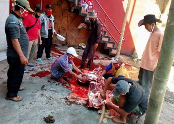 Suasan penyembelihan hewan kurban. (Foto: Wiyono-Javasatu.com)