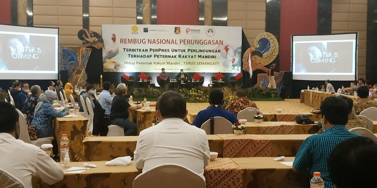 Diduga Gegara Dimonopoli ‘Dua Gajah’, Kondisi Peternak Ayam Potong Rakyat Mandiri Memprihatinkan