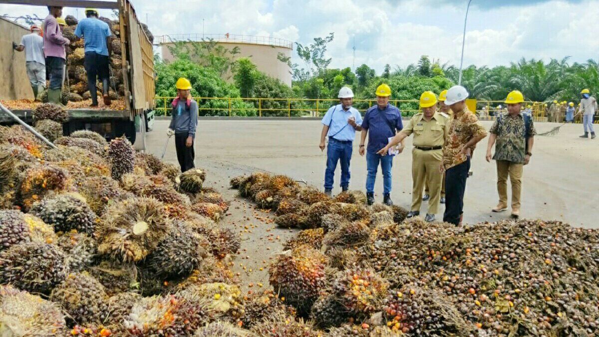 Kabupaten Malang Berguru Sawit ke Sumatera
