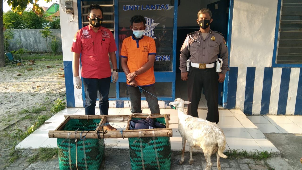 Kepergok Curi Kambing, Pria di Duduksampeyan Gresik Babak Belur Dihajar Warga