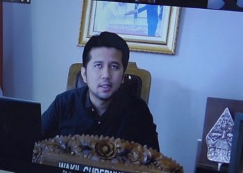 Masukan wakil gubernur