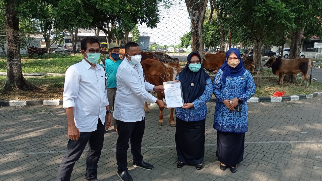 Sejumlah Perusahaan di Gresik Serahkan Sapi Kurban ke Pemkab - Javasatu
