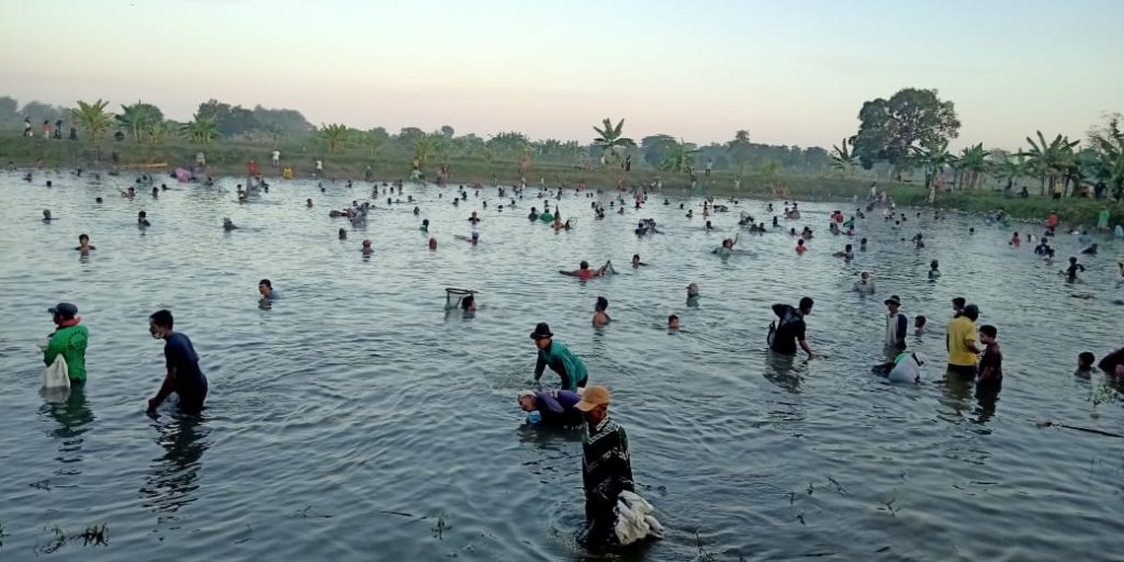 Srumbung Ngubek, Mencari Ikan Tradisi Desa Bulangan Dukun Gresik