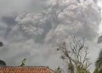 Awan panas Gunung Semeru yang terlihat dari pemukiman penduduk. (Foto: Tangkapan Layar/Istimewa)