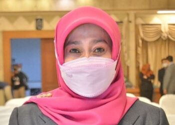 Musim Hujan, Dinkes Gresik Ingatkan Warga Waspada DBD