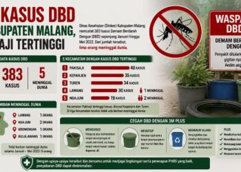 383 Kasus DBD di Kabupaten Malang, Pakisaji Tertinggi