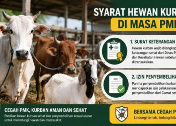 Kurban di Malang Wajib Bersurat Sehat, Penyembelihan Harus Berizin