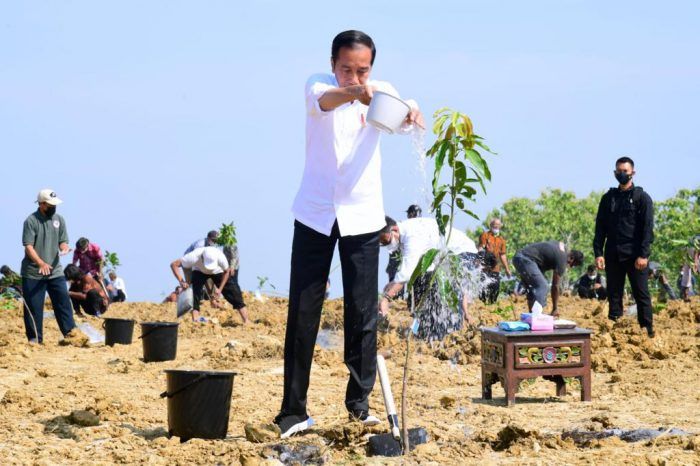 Presiden Jokowi Luncurkan Lumbung Pangan Berbasis Mangga dan Taksi Alsintan di Gresik