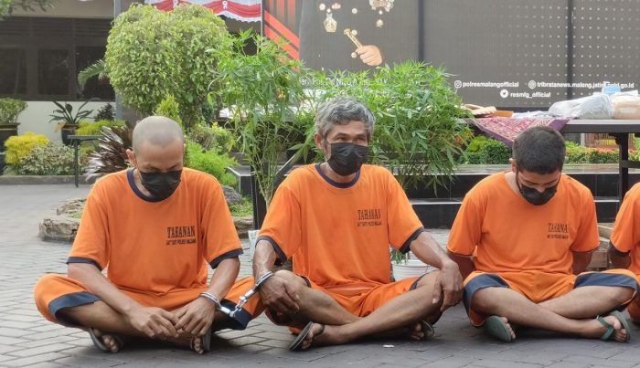 Satreskoba Polres Malang Amankan Petani Ganja di Lereng Gunung Semeru