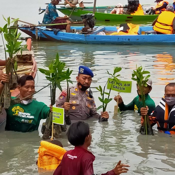 Peduli Lingkungan, Polairud Polres Gresik Tanam Mangrove
