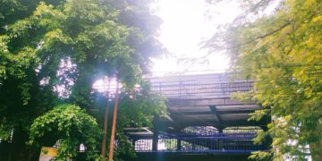 Oplus_131072