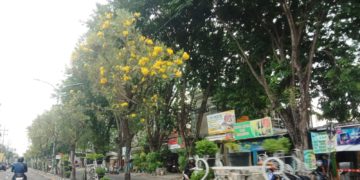 Oplus_131072