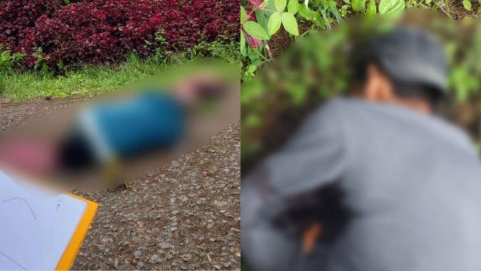 {"remix_data":[],"source_tags":[],"origin":"unknown","total_draw_time":0,"total_draw_actions":0,"layers_used":0,"brushes_used":0,"photos_added":0,"total_editor_actions":{},"tools_used":{},"is_sticker":false,"edited_since_last_sticker_save":false,"containsFTESticker":false}