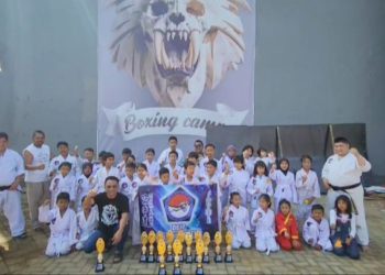 Oplus_131072