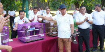 Oplus_131072