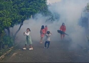 41 Kasus Suspek Chikungunya di Gresik, Dinkes Minta Warga Waspada
