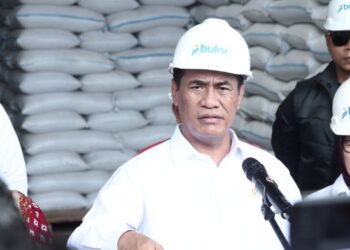 Stok Beras RI Pecah Rekor, Tembus 5,3 Juta Ton