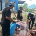 Iduladha 1447 Hijriah, Polres Batu Salurkan 39 Hewan Kurban untuk Warga