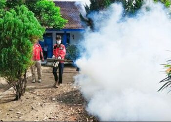 PMI, Puskesmas dan Warga Selodakon Jember Bersatu Perangi DBD