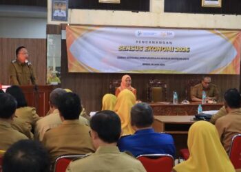 Sensus Ekonomi 2026 di Gresik Dikebut Lewat WhatsApp dan Gmail