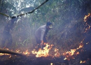 Aksi Heroik Bupati Eman dan Kapolres Majalengka, Tinggalkan Mobil Demi Padamkan Api
