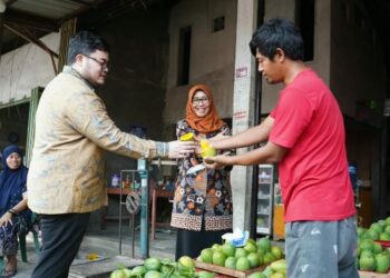 Mangga Podang Lereng Wilis Kantongi Sertifikat IG, Pemkab Kediri Jaga Kualitas