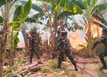 Kebakaran 5 Hektare Lahan Perkebunan di Kertajati Majalengka Padam 2 Jam
