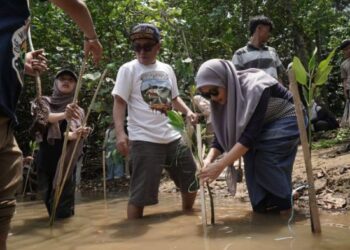 FISIP UNIRA Malang Tanam 1.000 Mangrove di Pantai Kondangmerak
