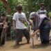 FISIP UNIRA Malang Tanam 1.000 Mangrove di Pantai Kondangmerak