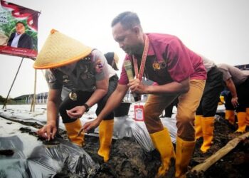 Dukung Swasembada Pangan Prabowo, Polri Tanam Bawang Putih di Majalengka