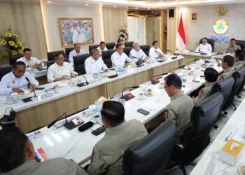 BNPB Catat Karhutla di 6 Provinsi, 186 Hektare Lahan Gambut Ditangani