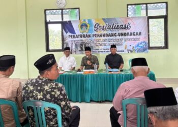 Husnul Aqib Sosialisasikan Perda di Dukun Gresik, Soroti Perlindungan Anak