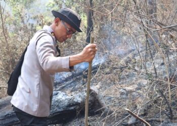 Karhutla Gunung Arjuno Bakar 816 Hektare, Kapolres Malang Turun Padamkan Api