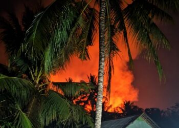 BNPB Catat Karhutla di Cilacap, Wonosobo dan Raja Ampat