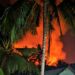 BNPB Catat Karhutla di Cilacap, Wonosobo dan Raja Ampat